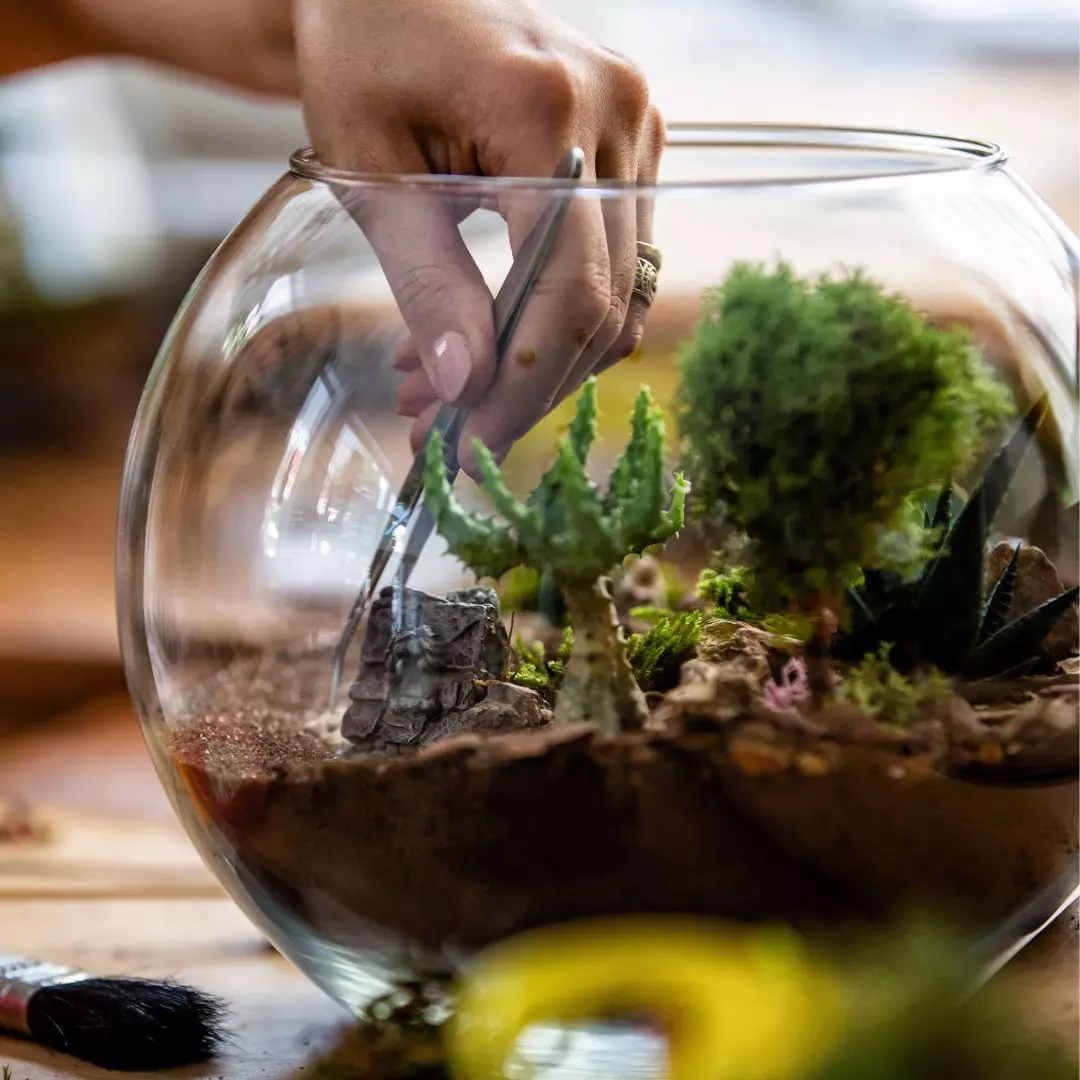 Nature & Découvertes