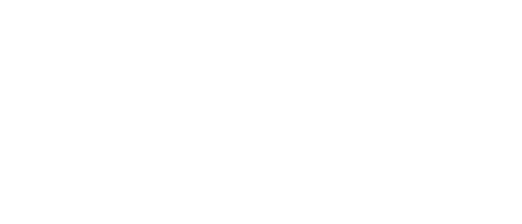 SALOMON_ECOTRAIL_PARIS_LOGO_MONOCHROME_BLANC_RVB